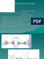Embriologìa de Cara