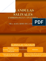 GLANDULAS SALIVALES