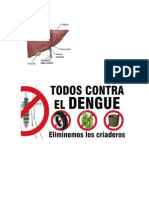 Dengue