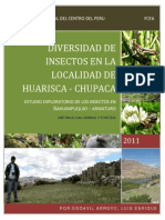 Diversidad de Insectos en La Localidad de Huarisca - L.egoavil