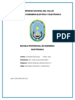 pre-informe-1 (1).docx