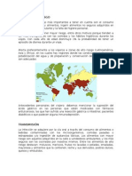 Factores de Riesgo y Transmisión