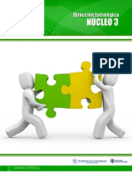 Nucleo_3_direccion_estrategica[1]