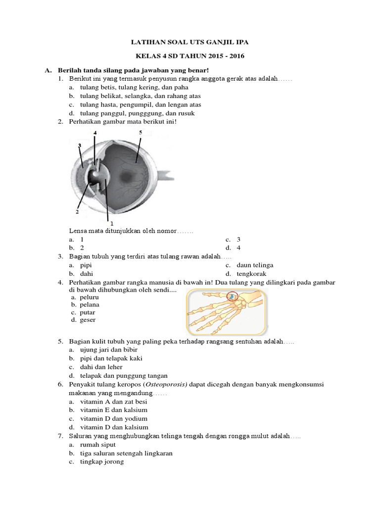 SOAL UTS IPA Kelas 4 SD