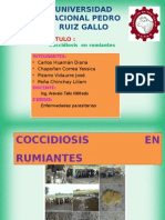 Coccidiosis Expo