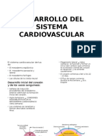 Desarrollo Del Sistema Cardiovascular