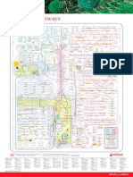 Metabolic Pathways Poster