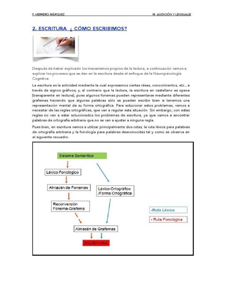 ¿Cómo Escribimos | PDF | Palabra | Ortografía