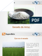 Secado de Arroz