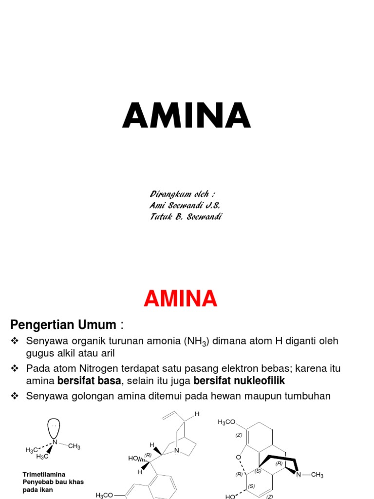 03 Amina