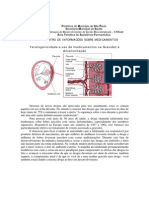 Teratogenicidade e Medicamentos Na Gravidez