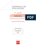 Esp5 V1