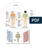 ADL Modul