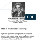 Transcultural Nursing Nur324