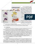 Apuntes sobre el arte mesopotámico