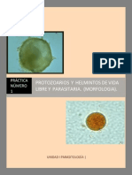 Protozoarios y helmintos