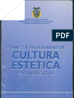 Plan Cultura Estética