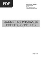 Dossier de Pratiques Professionnelles