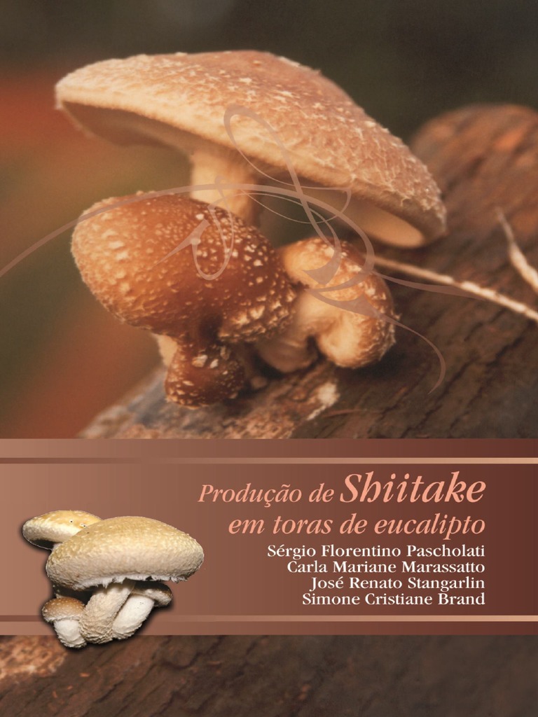 Saiba como produzir cogumelo shitake em blocos