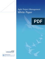 Agile PM White Paper - Feb 11