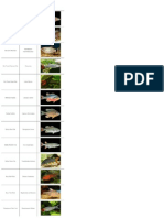 List of Freshwater Fish Beginning With R