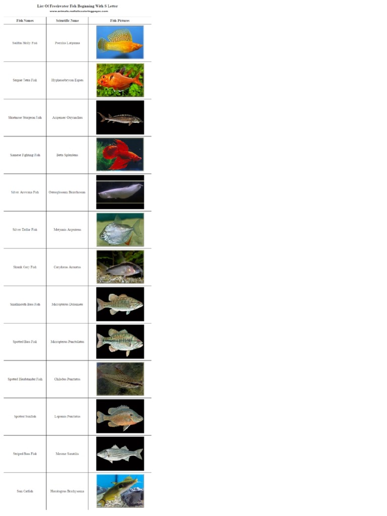 List of Freshwater Fish Beginning With S