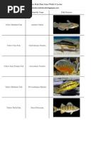 List of Freshwater Fish Beginning With Y