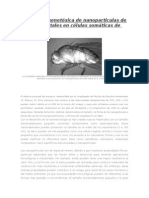 Evaluación Genotóxica de Nanoparticulas de Óxido de Metales en Células Somáticas de Drosophila