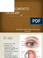 El Segmento Ocular