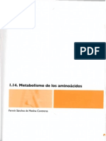 aminoacidos.pdf