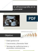 Us Prenatal