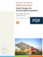 CEEW - Solar Pumps Brief 22Aug15