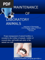 Download Maintainance of Lab Animals by cholan11 SN28248014 doc pdf