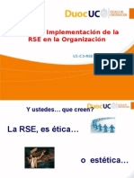 1 1 9 Areas de Implem de La RSE