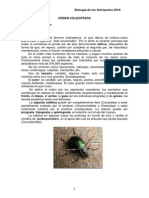 Caracteristicas de Orden Coleoptera