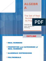 The Set of Real Numbers and Its Properties