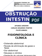 Obstrução Intestinal