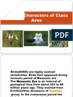 General Characters of Class Aves