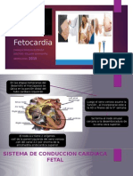 Fetocardia