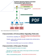 Cell Signaling I