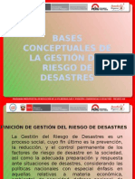 Bases Conceptuales de La Grd