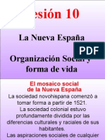 Organizacion Social Nva España