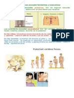 Prueba Ciencia