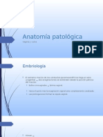 Anatomía Patológica