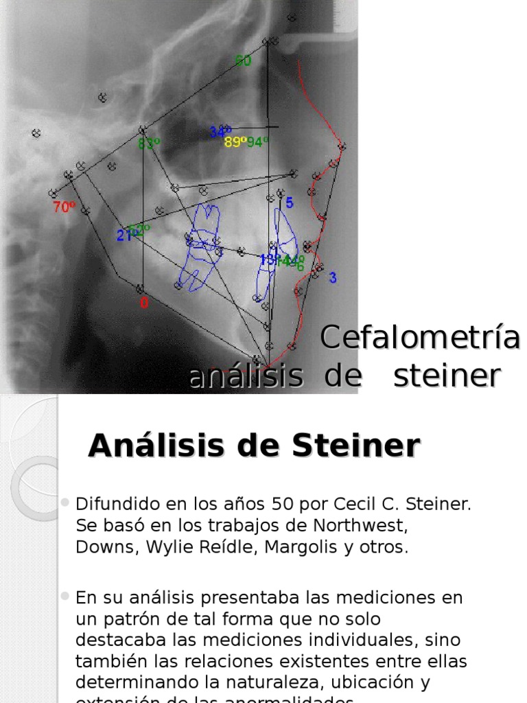 Cefalometria Steiner | PDF | Anatomía de los primates | Anatomía humana
