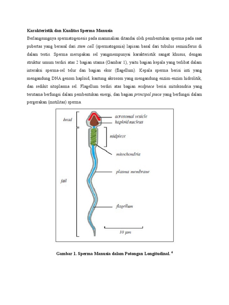 Birodar bilan jinsiy aloqada bolgan ruscha porno videolarni tomosha qiling