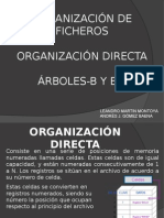 Organización Directa