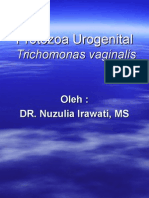 Protozoa Urogenital Trich Vaginalis