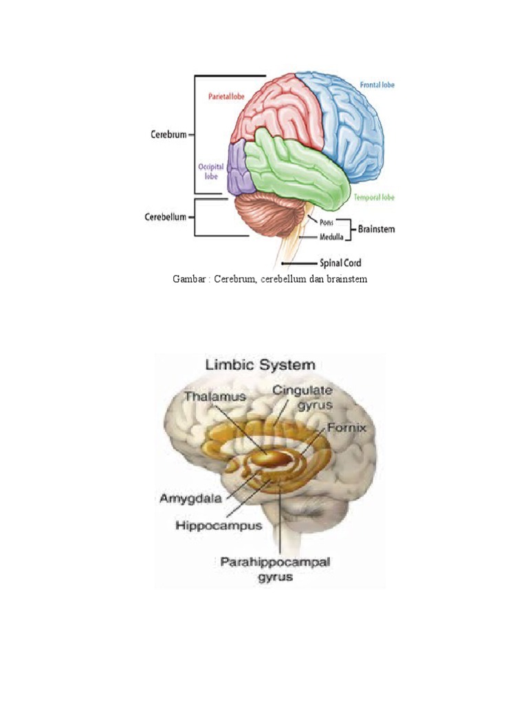 Gambar CT Scan Infark Cerebri | PDF
