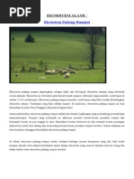 Dongeng Binatang Kasuari Dan Dara Mahkota